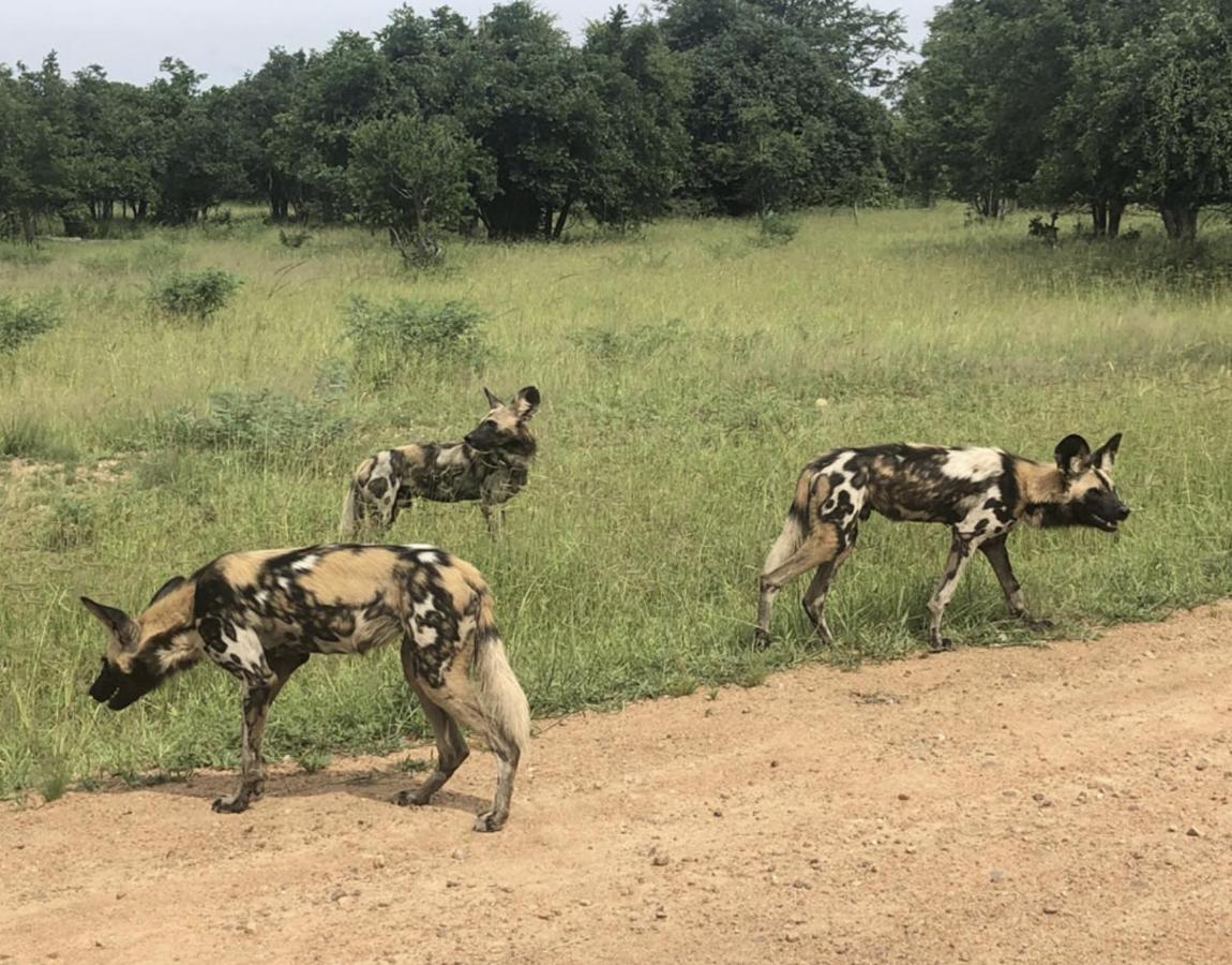 Mfuwe Marula Lodge المظهر الخارجي الصورة